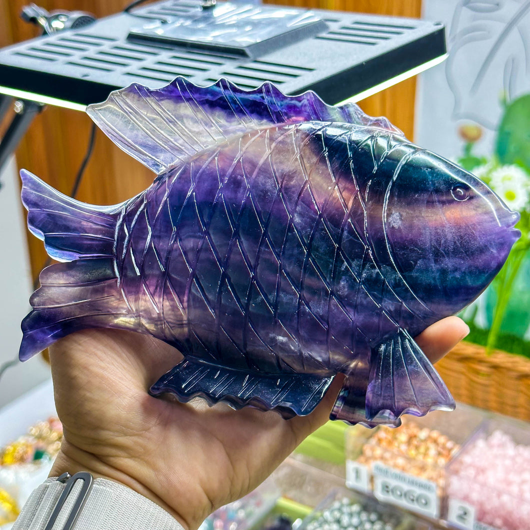 【Only one】Fluorite Fish