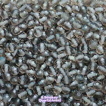 Cargar imagen en el visor de la galería, One Bowl VIP Facted Crystal Beads(4mm)
